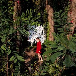 Red and plants against trees