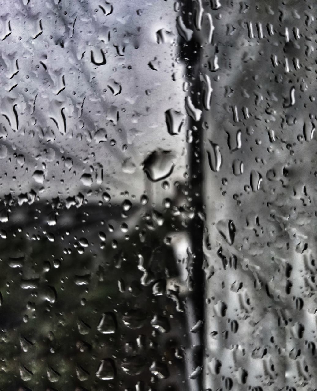 drop, wet, rain, water, window, full frame, glass, backgrounds, transparent, raindrop, no people, drizzle, rainy season, close-up, freezing, indoors, nature, monochrome, black and white, snow, monsoon, day, car, mode of transportation, pattern, transportation, motor vehicle, leaf, monochrome photography, vehicle interior, land vehicle, focus on foreground