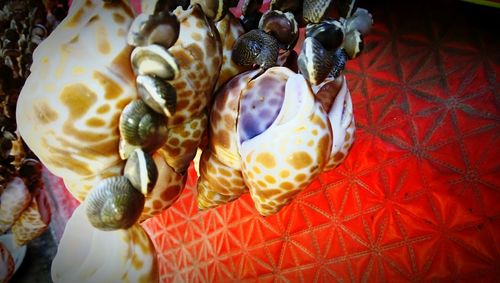 Close up of fabric