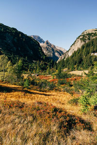 Scenic view of landscape against clear sky