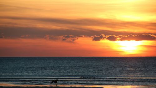 Scenic view of beach at sunset