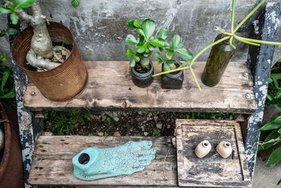 High angle view of potted plants and vases on wooden shelves