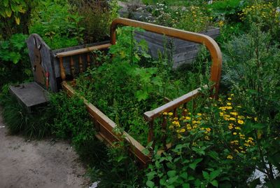 Wooden chair and plants by trees