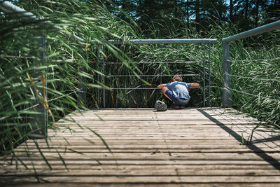 8 years old boy sitting on a dock and watching birds and ducks