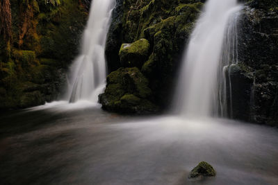 Scenic view of waterfall in forest