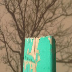 Close-up of bare tree against blue sky