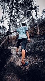 Rear view of man running on road in forest