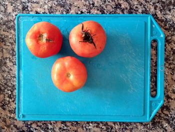 High angle view of fruits in container