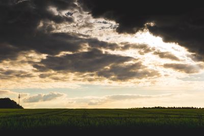 Scenic view of field against sky during sunset