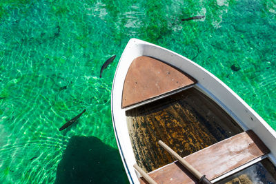 High angle view of person swimming in pool