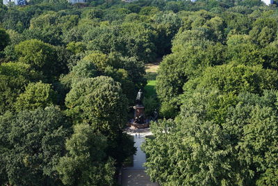 View of statue amidst plants in forest