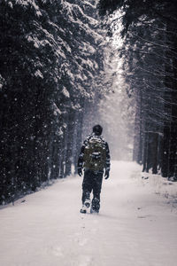 Rear view of man walking on snow covered forest