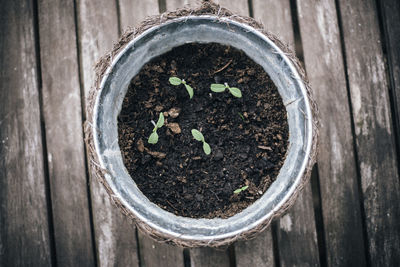 Close-up of wooden plank