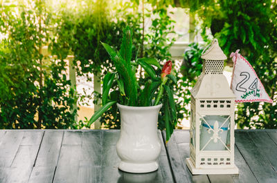 Close-up of plant by lantern on table in back yard