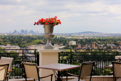 Potted plant on table against cityscape in mountains against sky