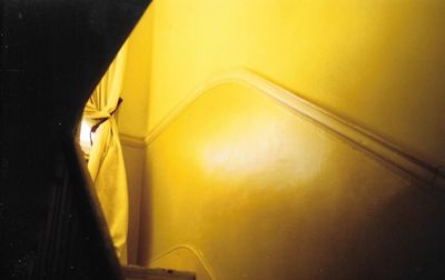 Close-up view of yellow