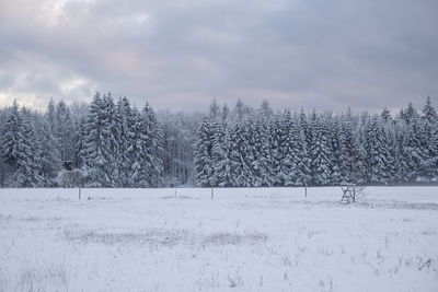 Scenic view of snow covered field against sky