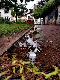 Surface level of wet street by buildings