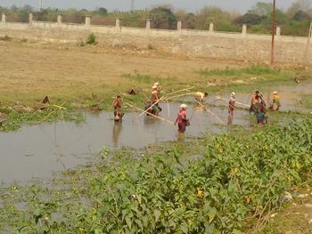 People working on field by lake