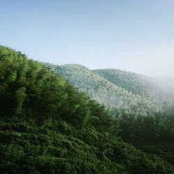 Scenic view of mountains against clear sky