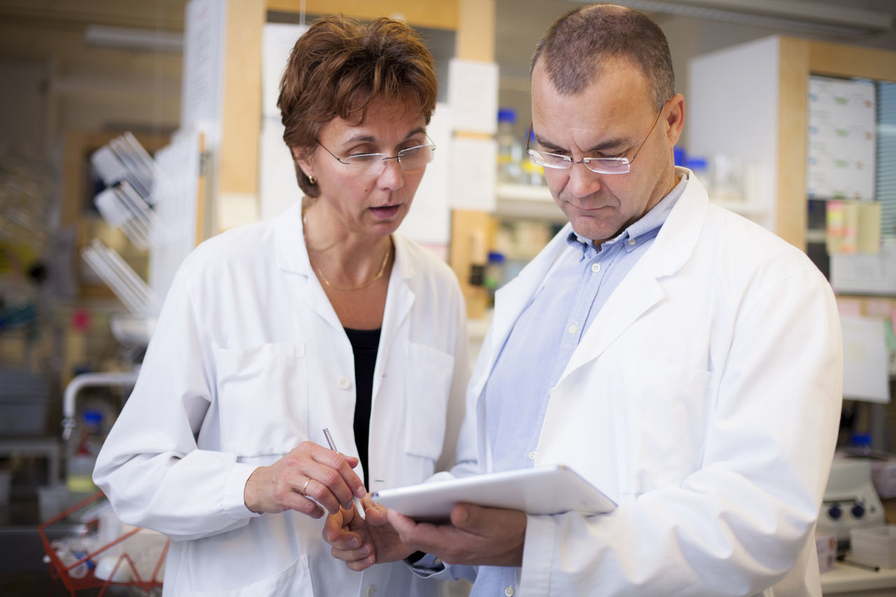 Mature scientists using digital tablet in laboratory