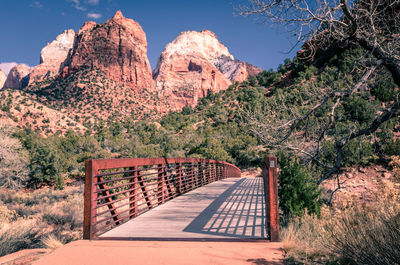 View of trees on rock