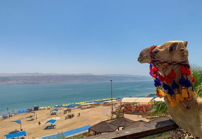 Scenic view of sea against blue sky