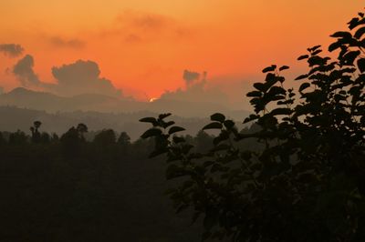 Silhouette trees against sky during sunset