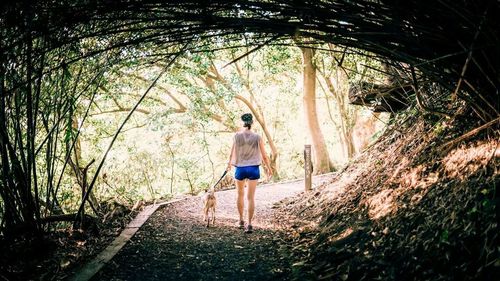 Man standing in forest