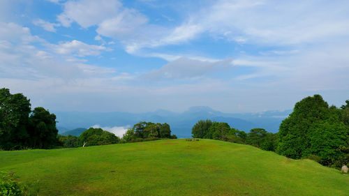 Scenic view of green landscape against sky
