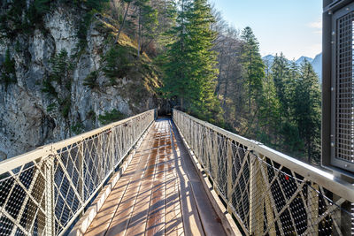 Low angle view of bridge against trees