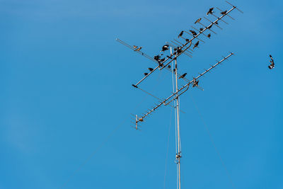 Low angle view of birds perching on television aerial against clear blue sky