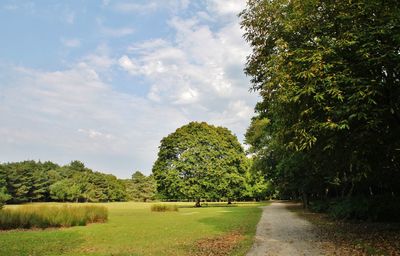 Scenic view of trees against sky