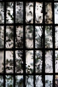 Full frame shot of trees seen through window