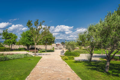 Footpath amidst trees against sky