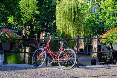 Bicycles parked on street