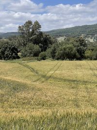 Scenic view of land against sky