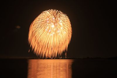 Firework display over lake against sky at night