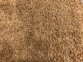 Full frame shot of rug