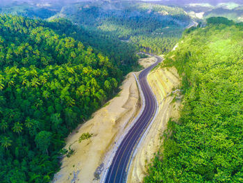 High angle view of road amidst plants