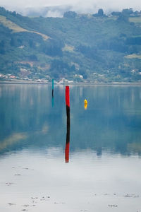 Channel markers in the harbour on a beautiful still day