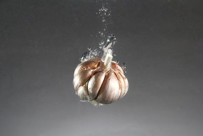 Close-up of ice cream over black background