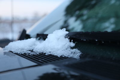 Close-up of snow on cigarette