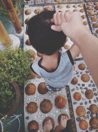 High angle view of hands on plants