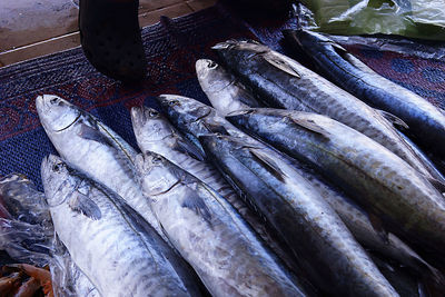 Close-up of fishes for sale at market