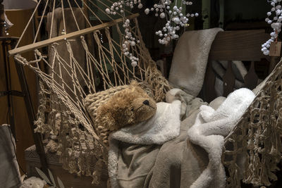 View of cat resting on chair