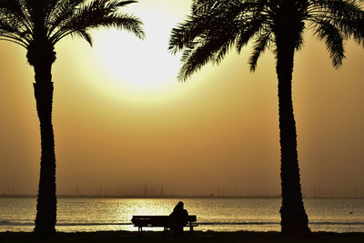 Silhouette people sitting on palm tree by sea during sunset