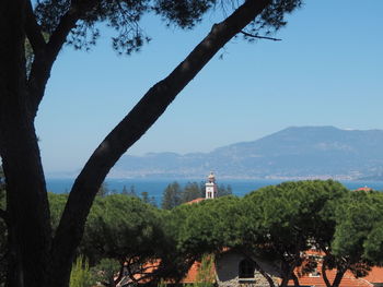 Trees and buildings by sea against sky