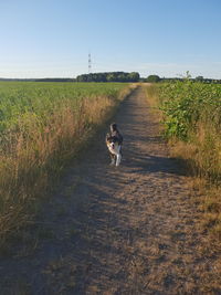 Dog running in field