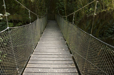 View of footbridge in forest